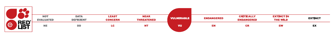 VU = Vulnerable